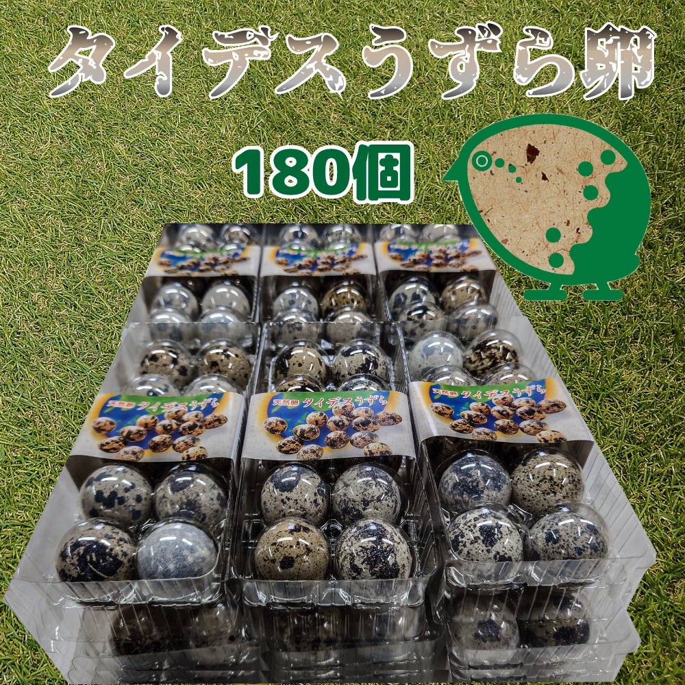 タイデスうずら卵｜クェールコスモス